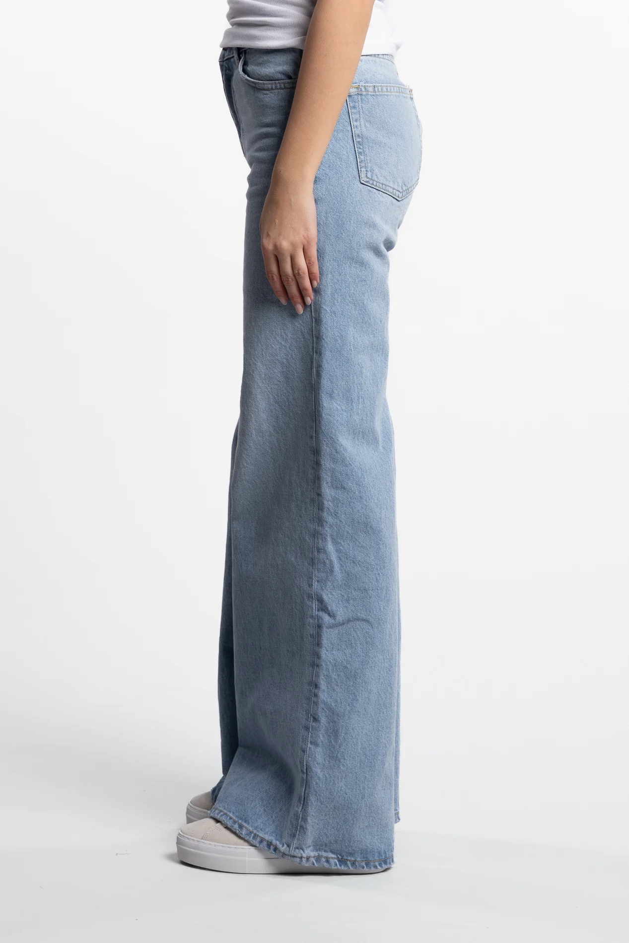 Taylor- Light Blue - Image 4
