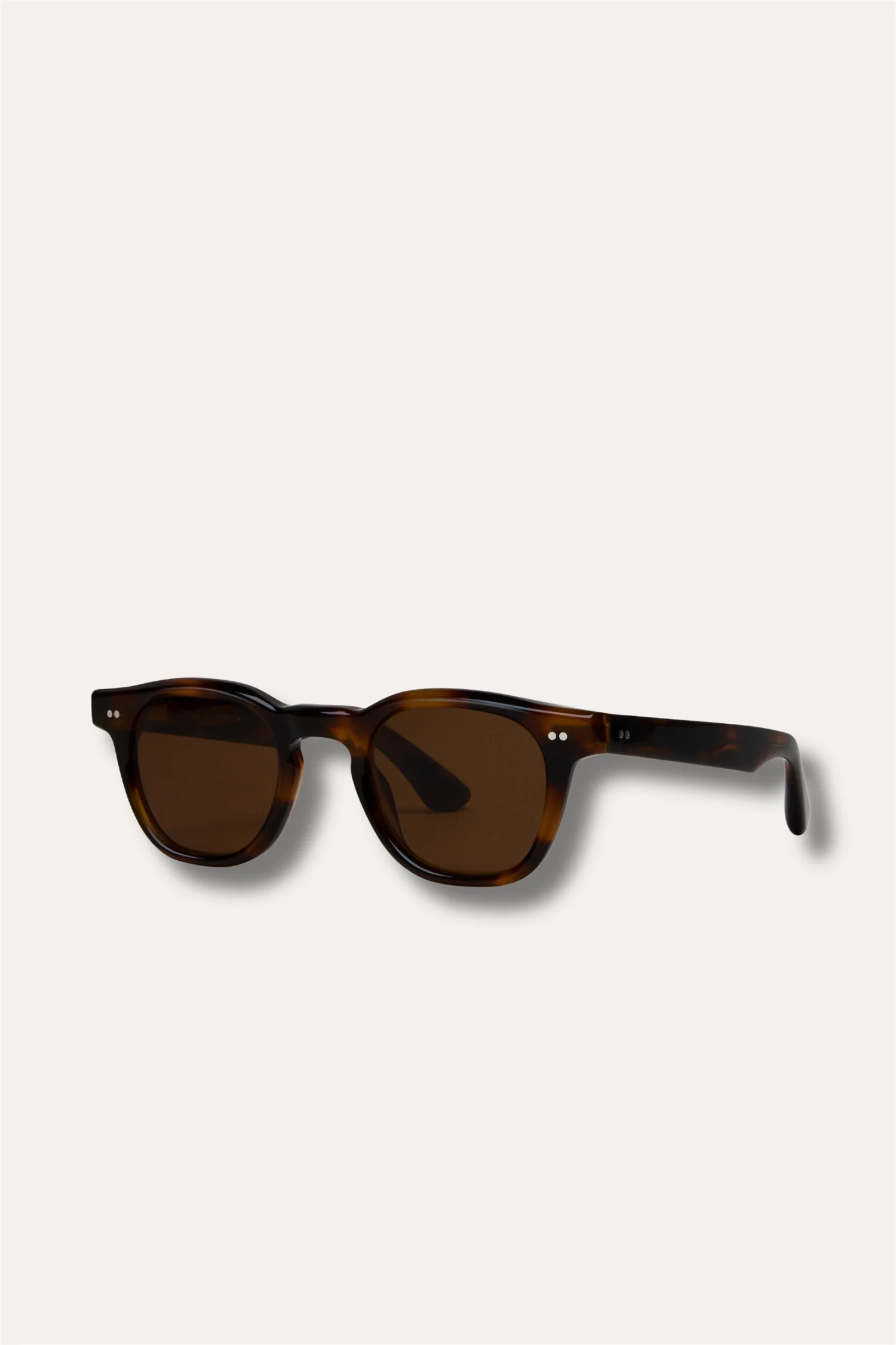 01 Tortoise - Image 2