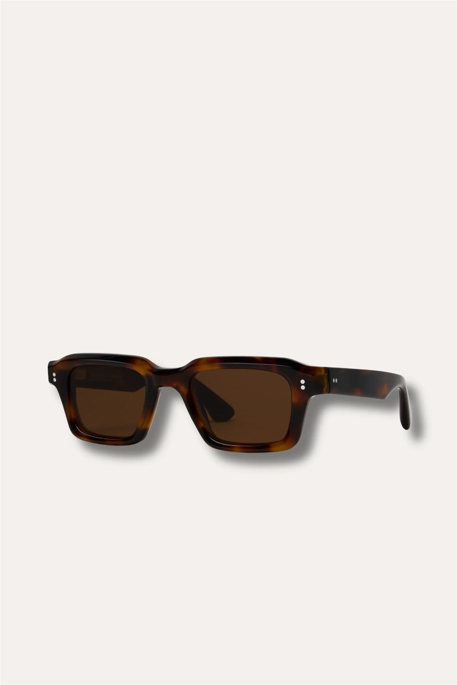 03 Tortoise - Image 2