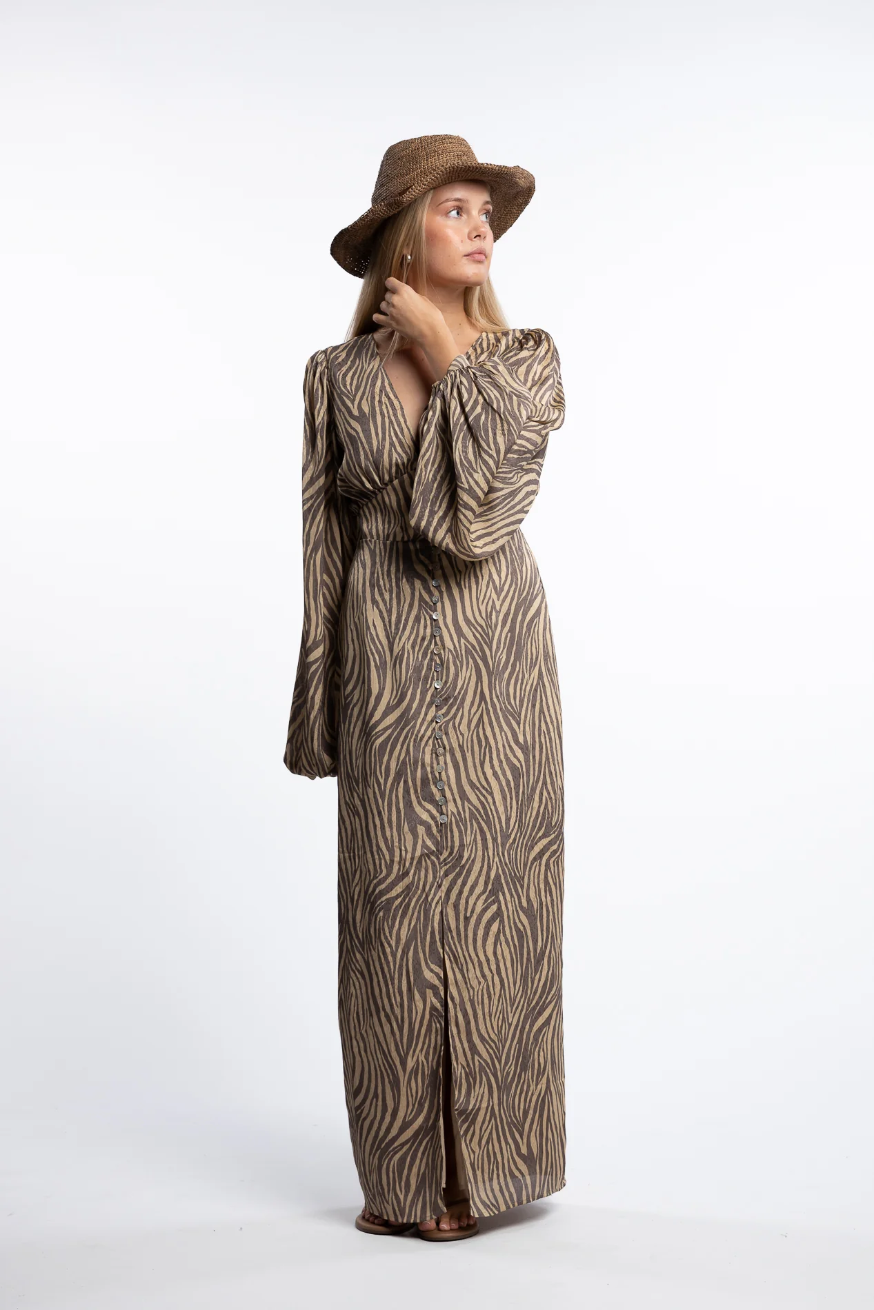 Positano dress- Beige Zebra - Image 3