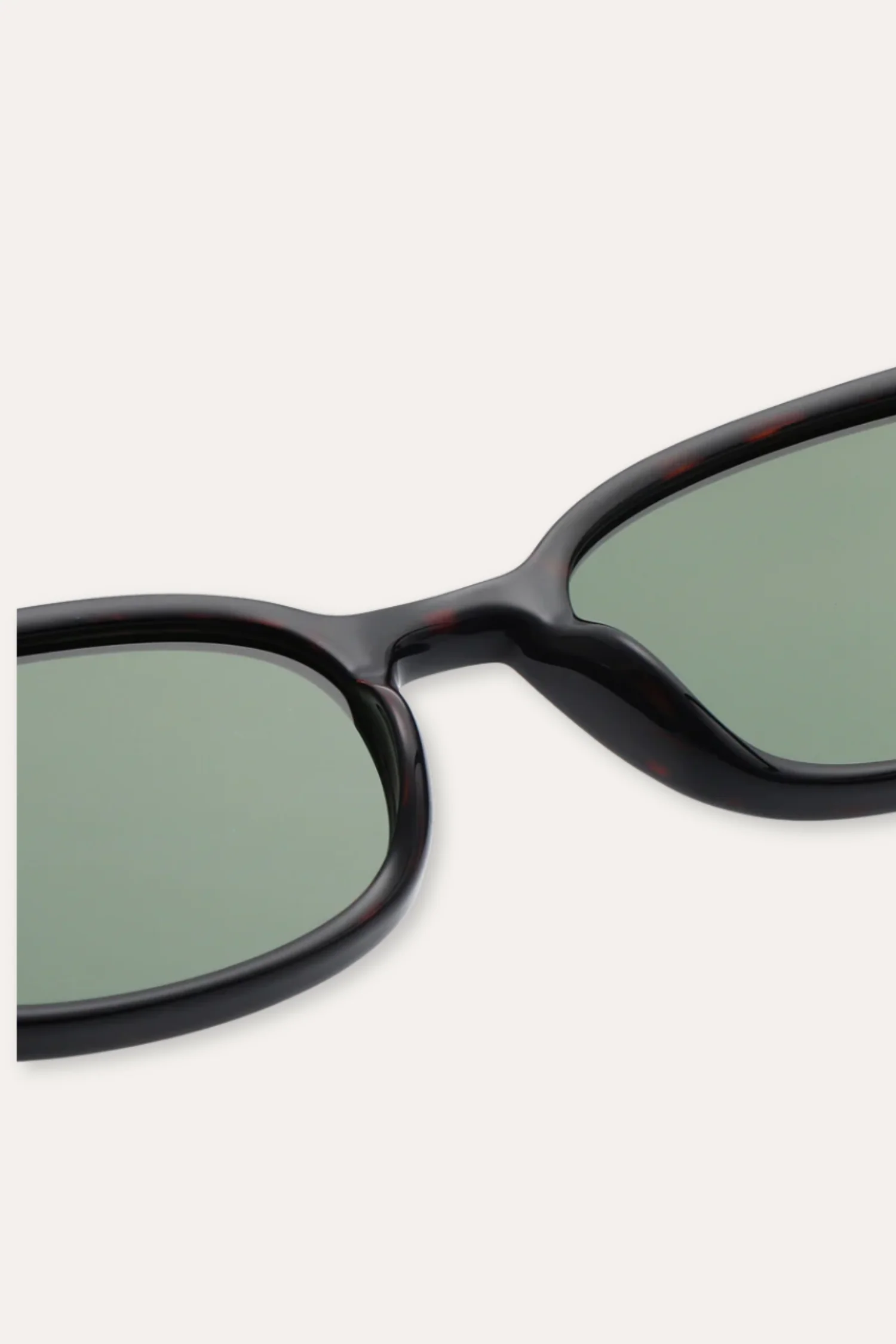 Charlie Demi Tortoise - Image 7