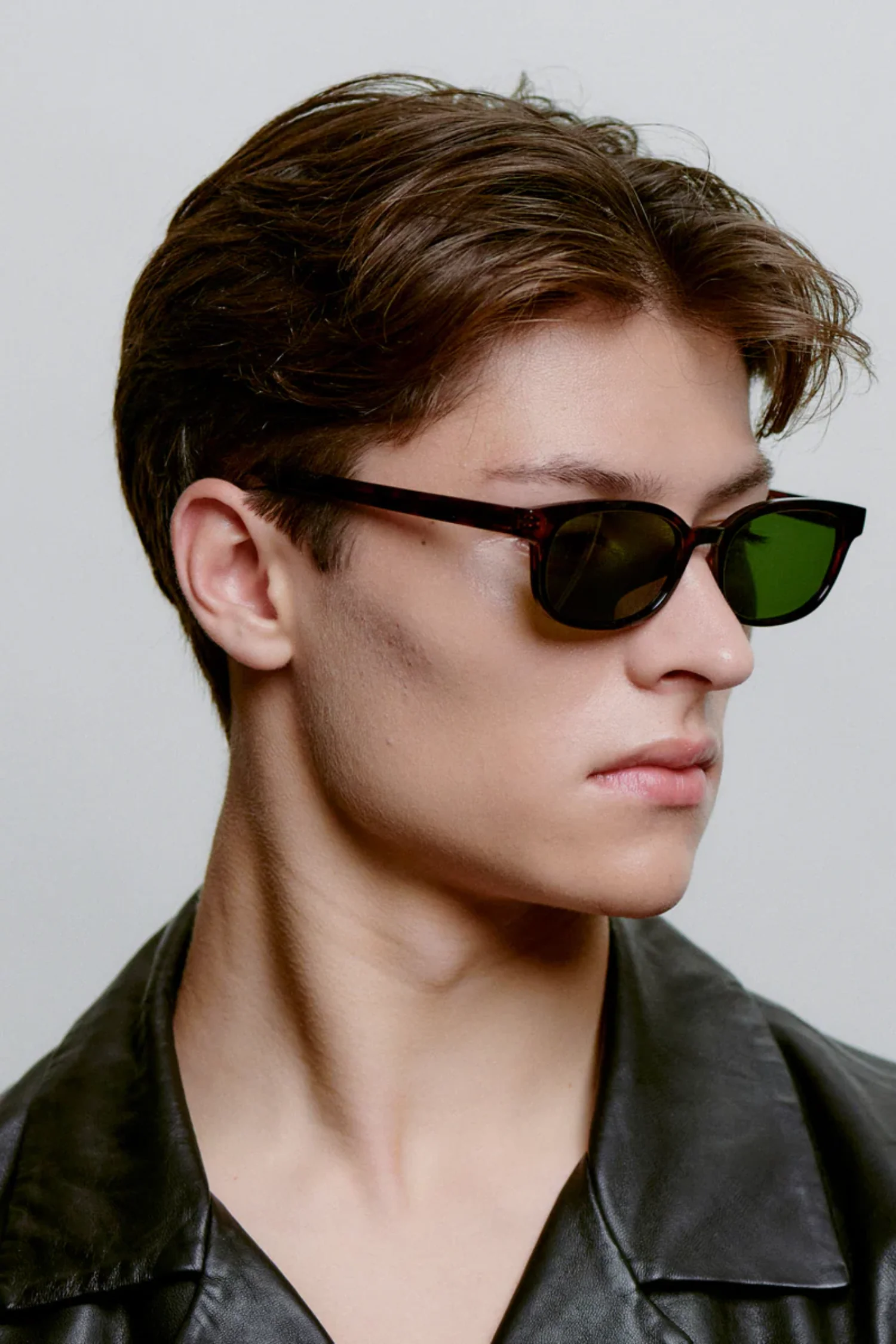 Charlie Demi Tortoise - Image 8