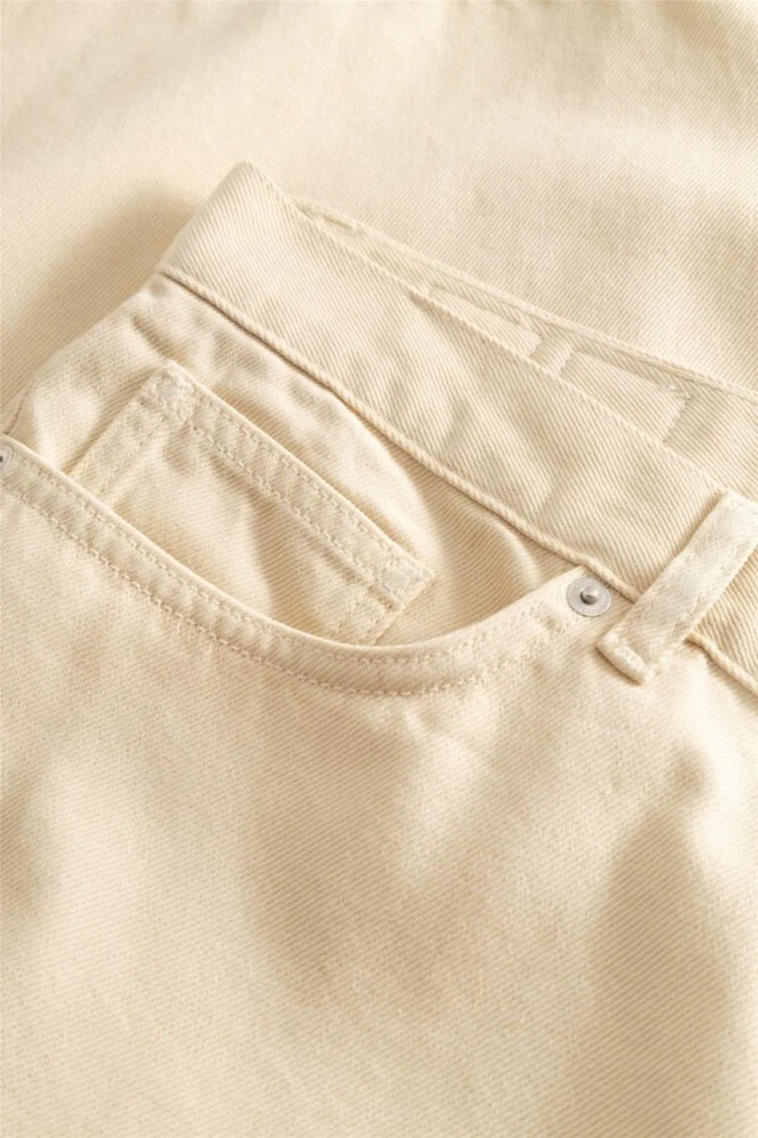 Type 16 Jorts Turtledove - Image 3