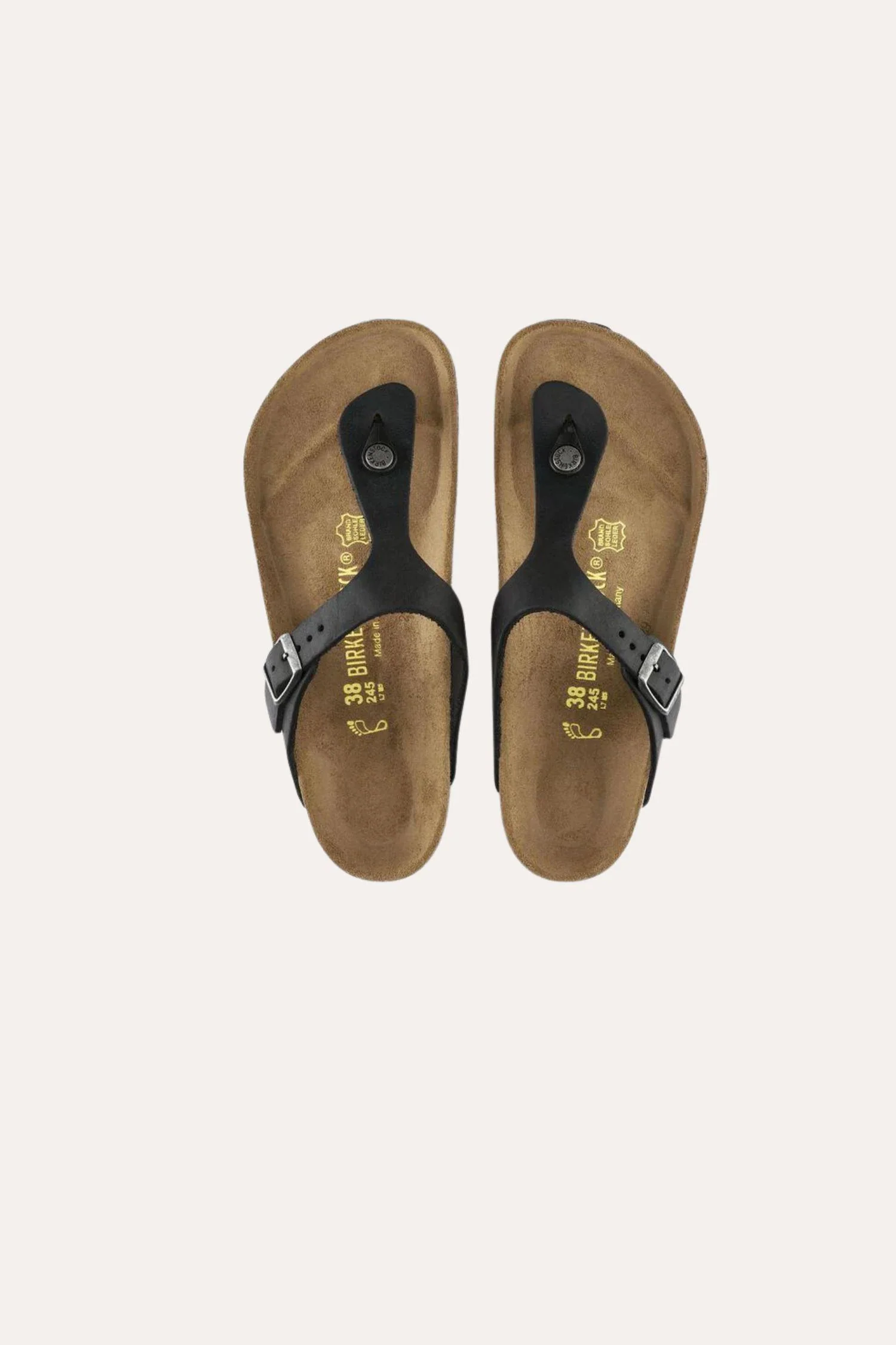 Women's Gizeh- Oiled Black - Image 5