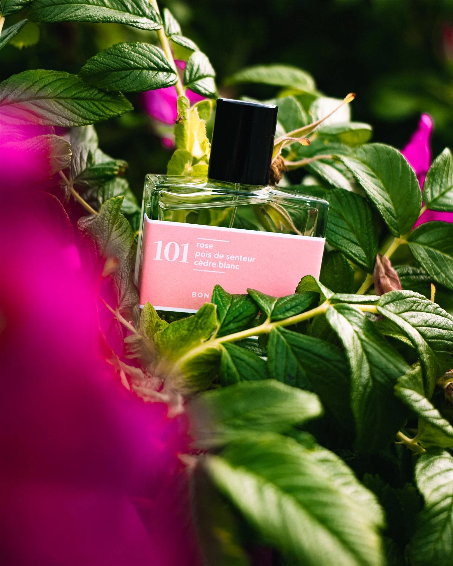 Eau de Parfume 101- 30ml | Rose, erteblomst og hvit sedertre - Image 4